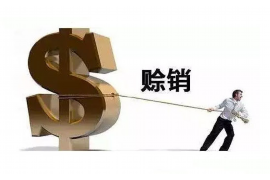 拉萨讨债公司